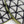 Load image into Gallery viewer, FACHLICH Diamond Flexible Dry Polishing Pads for Granite Marble Dia 4''/100mm 8pcs/set
